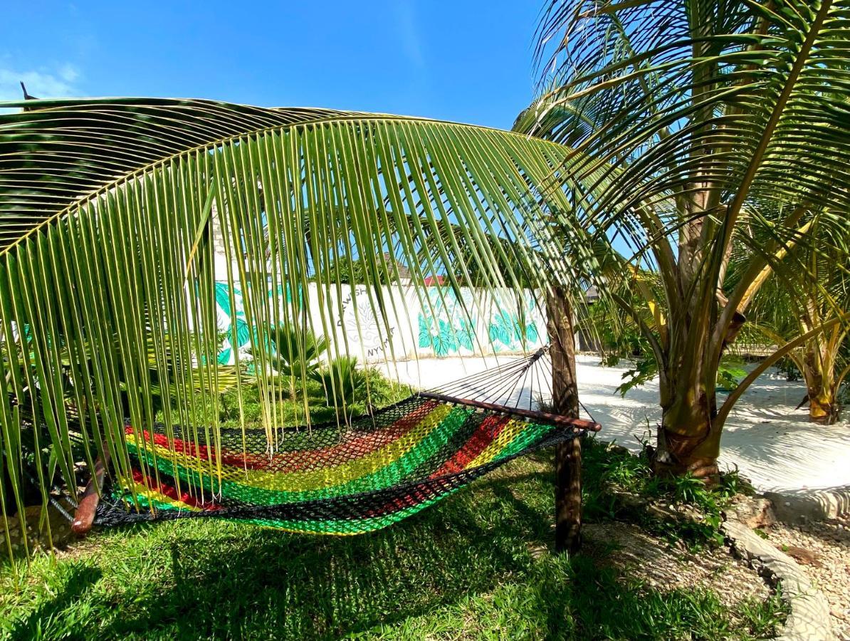 Darwesh Nyumba Lodge Nungwi Exteriör bild
