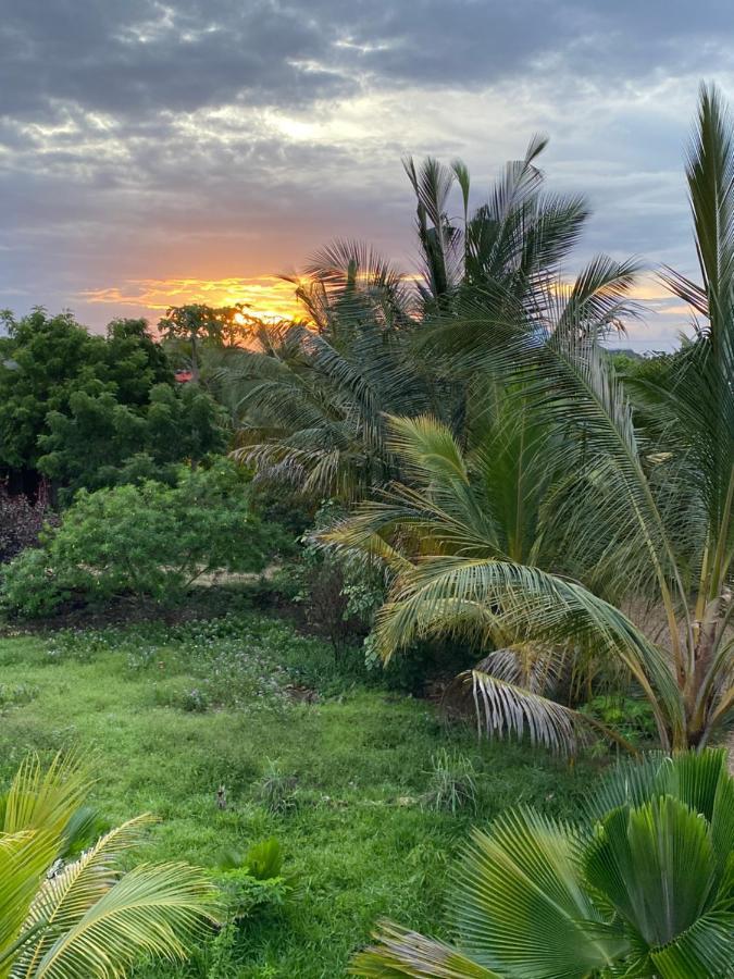 Darwesh Nyumba Lodge Nungwi Exteriör bild