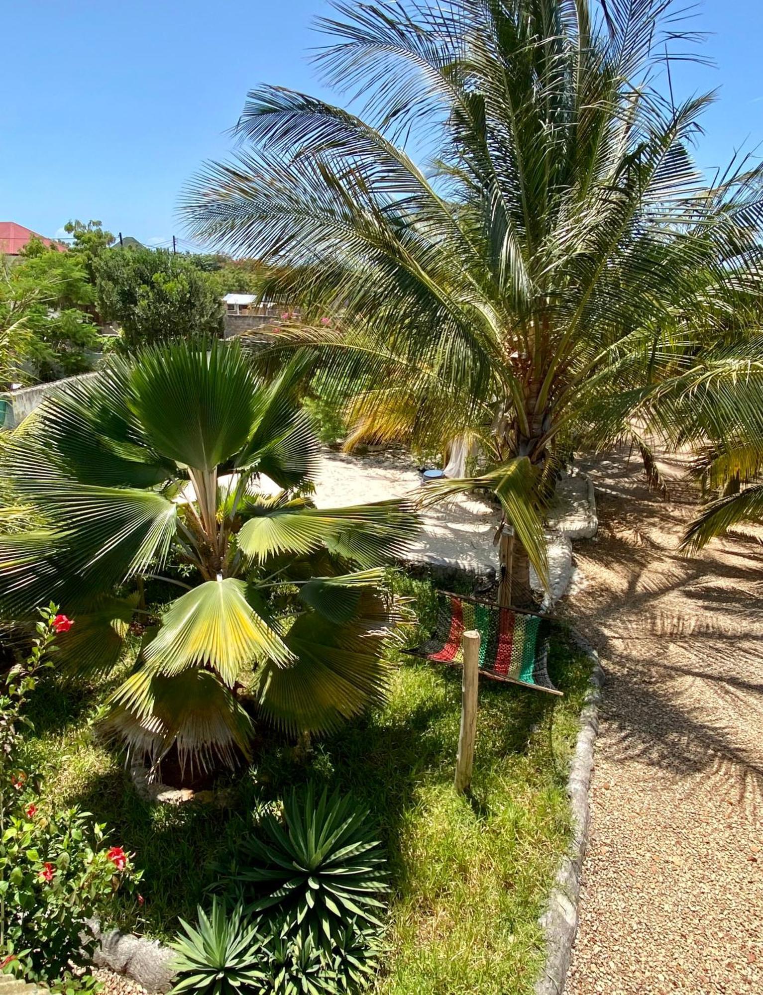Darwesh Nyumba Lodge Nungwi Exteriör bild
